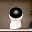 Prossimo acquisto? JIBO… cosa ne pensate?