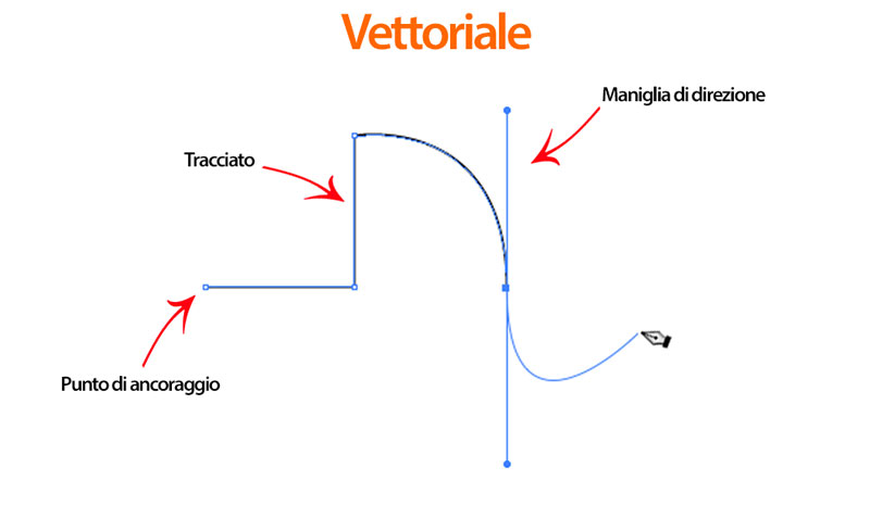 Qual è la differenza tra un file vettoriale e un file raster